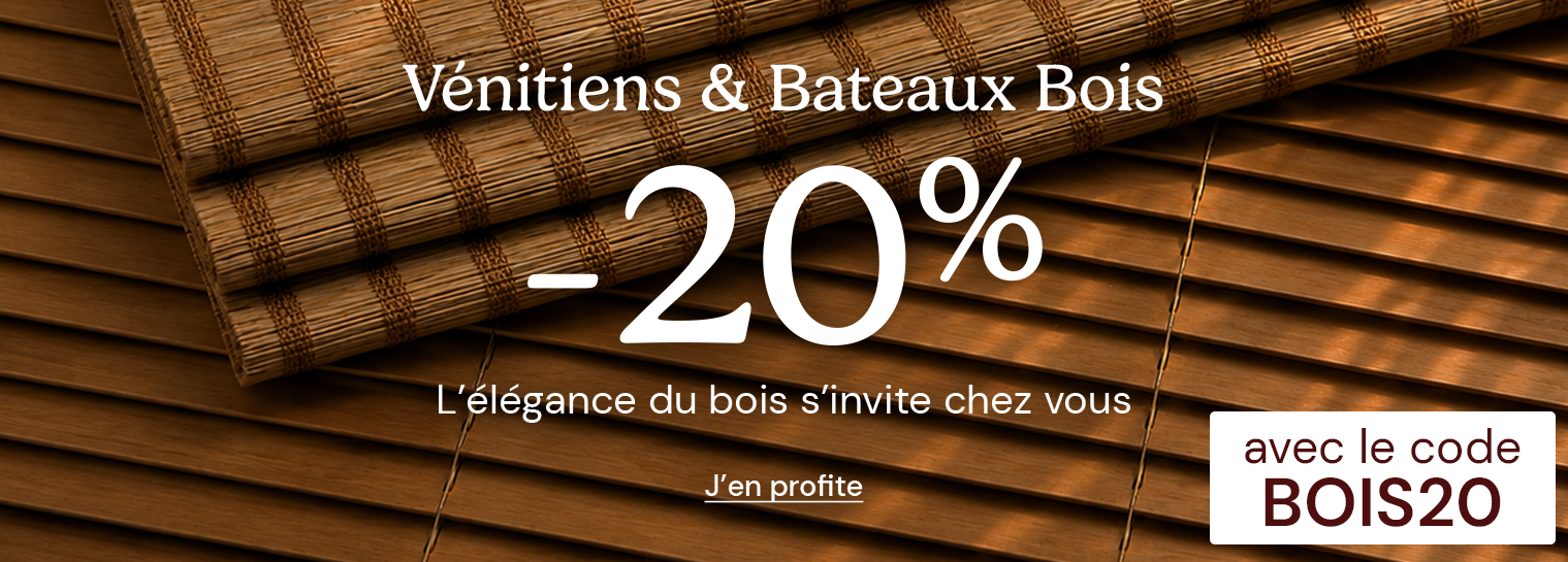 BOIS20 : V�nitiens et bateaux