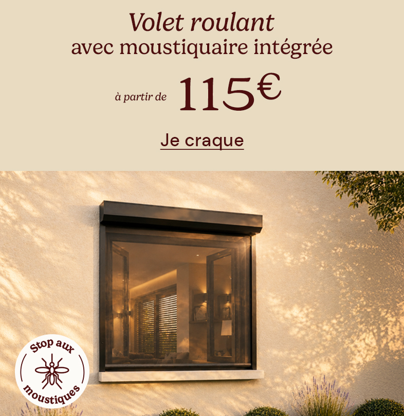 Volet roulant avec moustiquaire int�gr�e