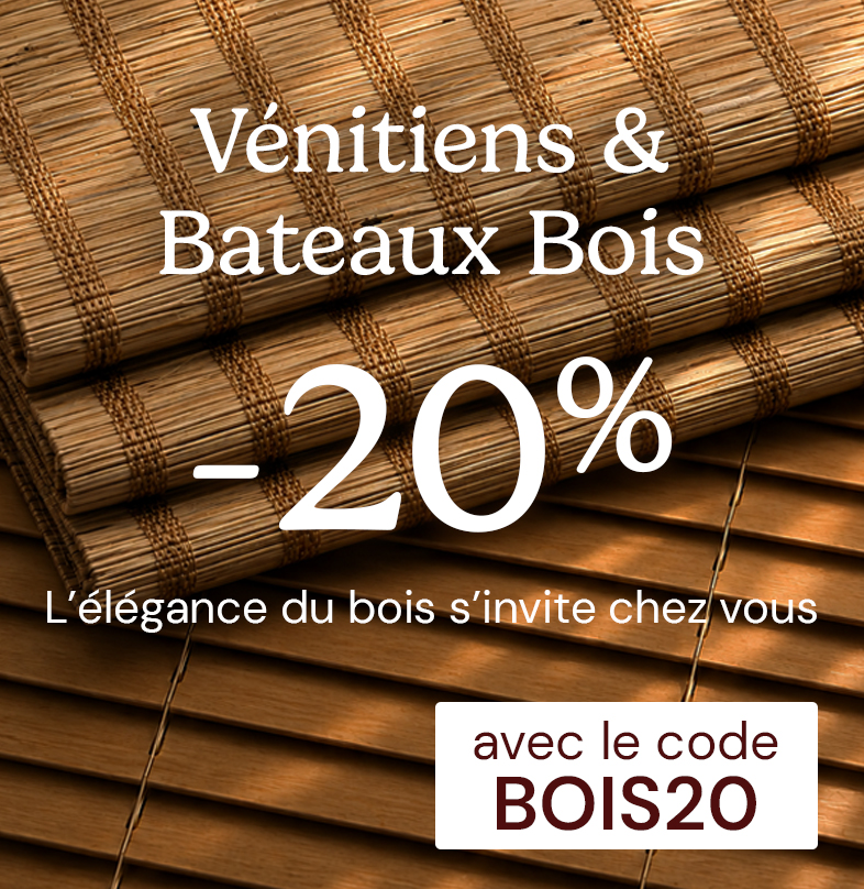 BOIS20 : V�nitiens et bateaux