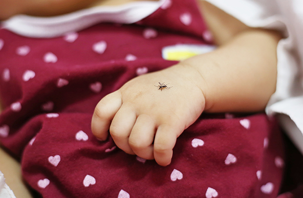 Les moustiques sont-ils attirés par la peau des bébés ?