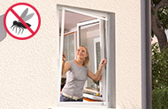 Moustiquaire cadre fixe