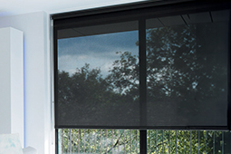 store enrouleur screen
