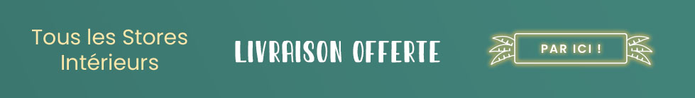 promo stores discount