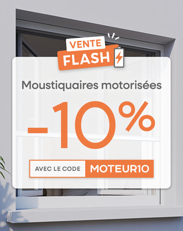 MOTEUR10