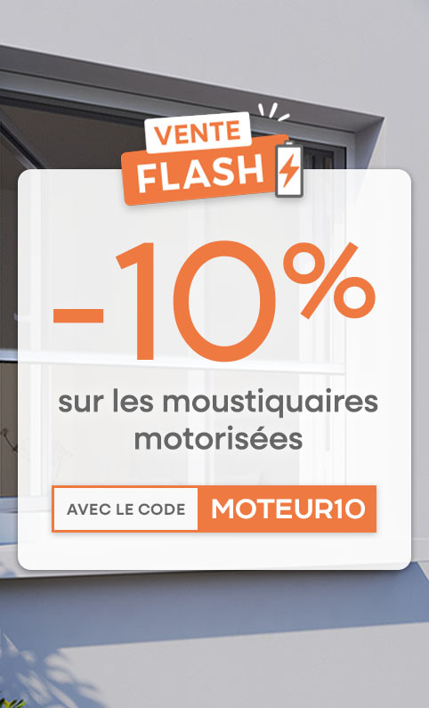 MOTEUR10